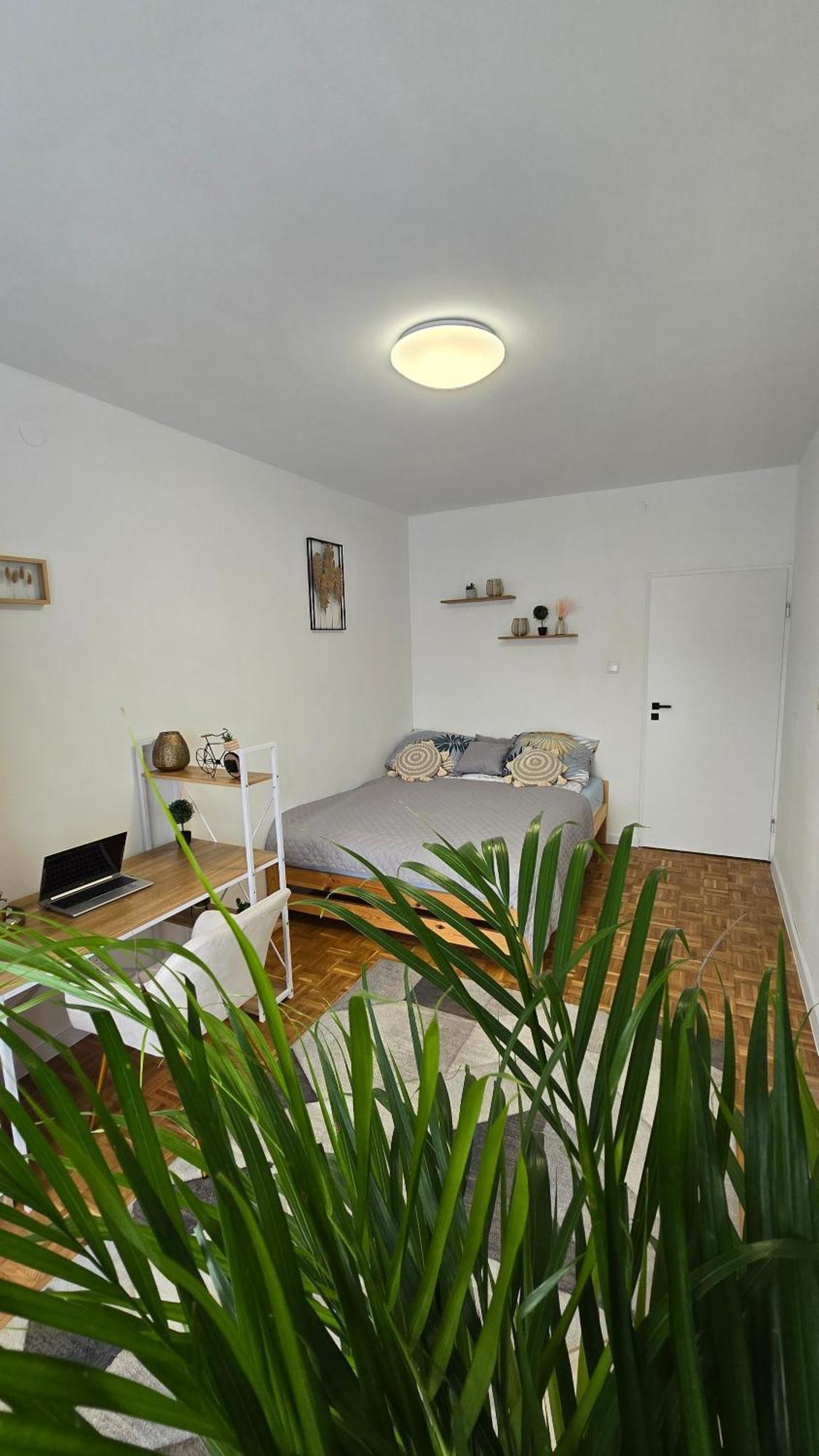 Homestay Duze W Nowoczesnym Stylu Kielce